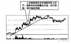 都应先退出观望为佳国内期货开户规则