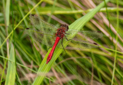 博易云你需要了解并管理这些风险